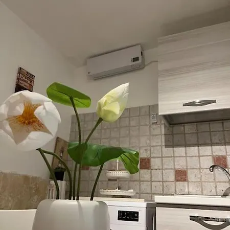 “da Concetta” 아파트 바리