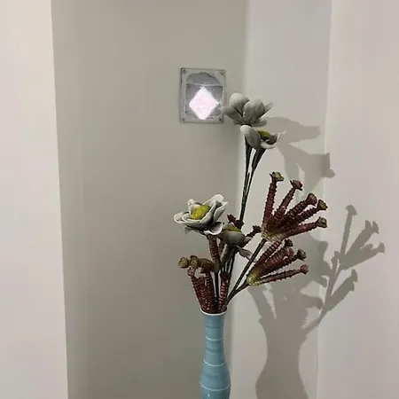 “da Concetta” 아파트 *