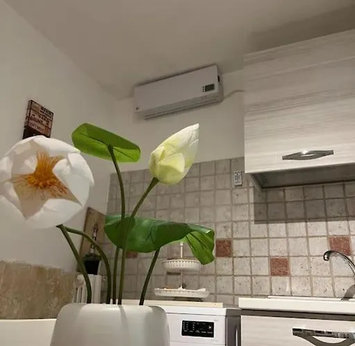 “da Concetta” Apartment Bari